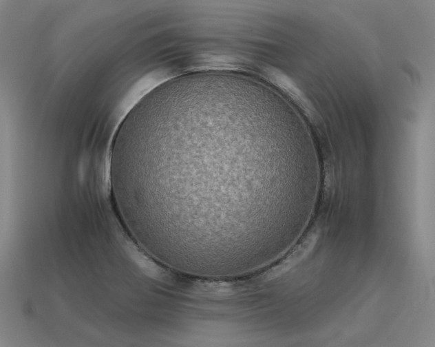 X0000113601370200909251147