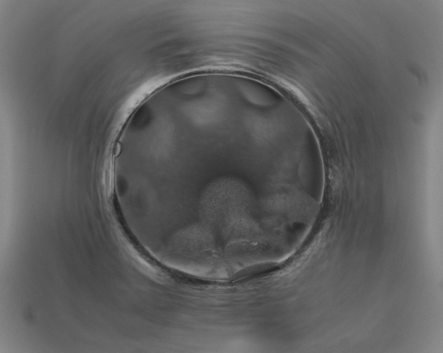 X0000113601371200909251147