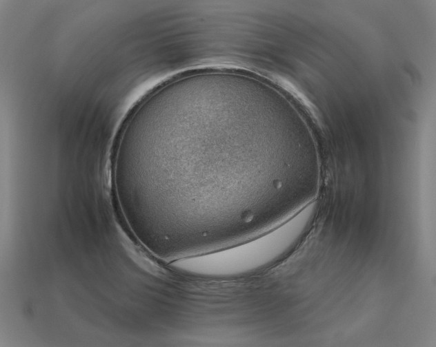 X0000113601372200909251147