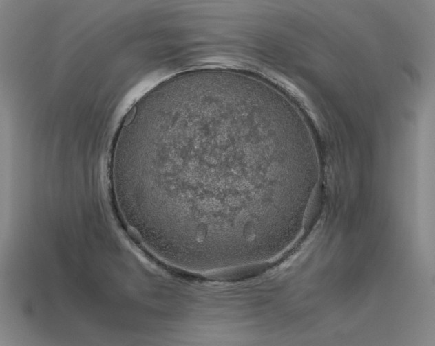 X0000113601373200909251147