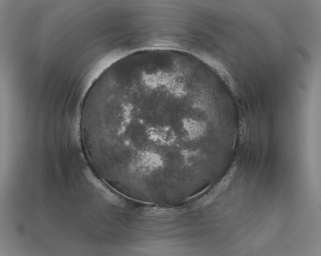 X0000113601374200909251147