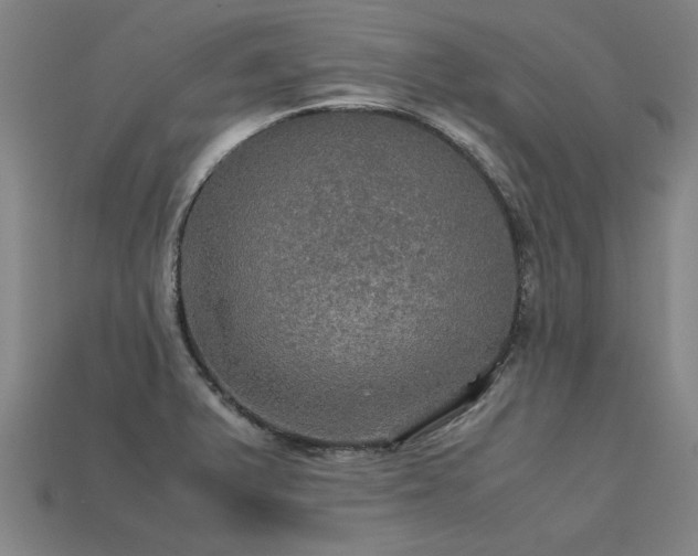 X0000113601375200909251147