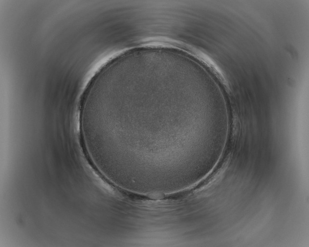 X0000113601376200909251147