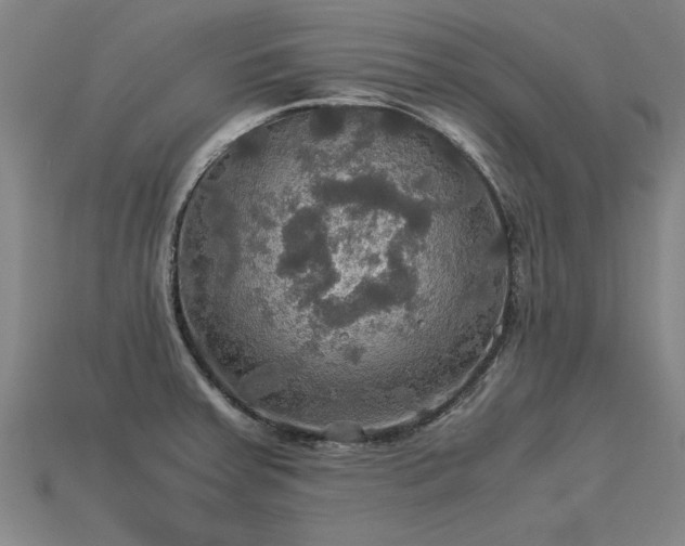 X0000113601379200909251147