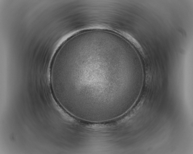 X0000113601380200909251147