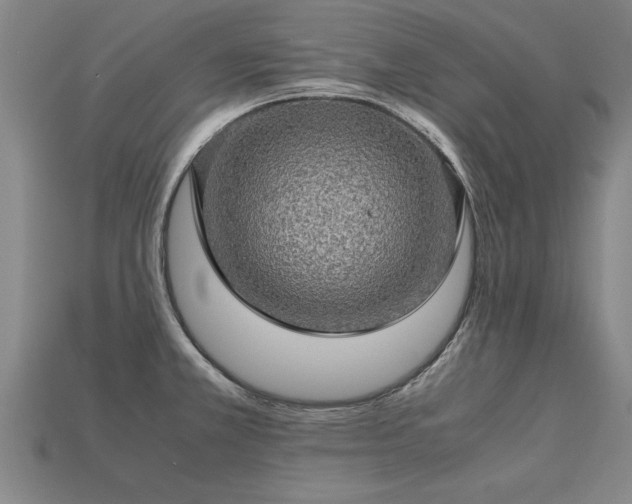 X0000113601381200909251147