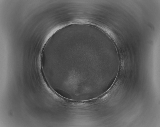 X0000113601382200909251147