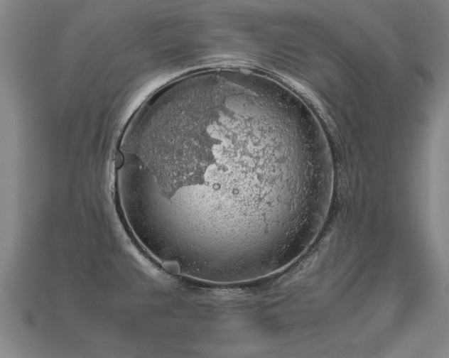 X0000113601383200909251147