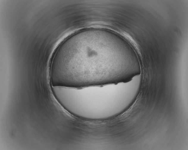 X0000113601384200909251147