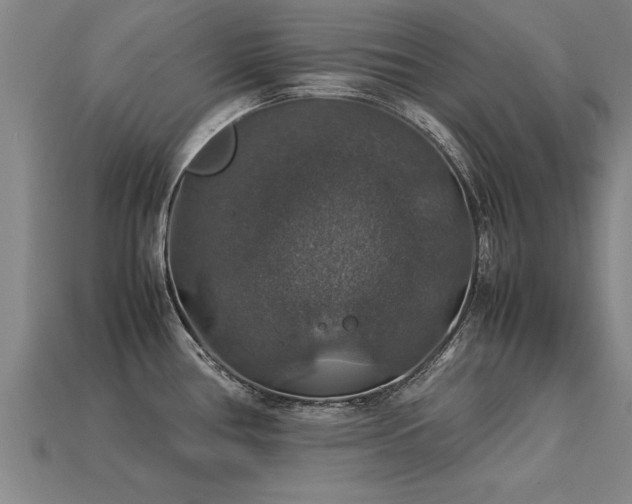 X0000113601386200909251147