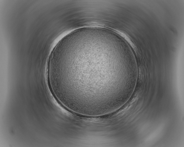 X0000113601387200909251147