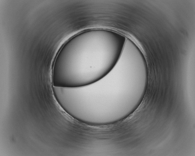 X0000113601388200909251147