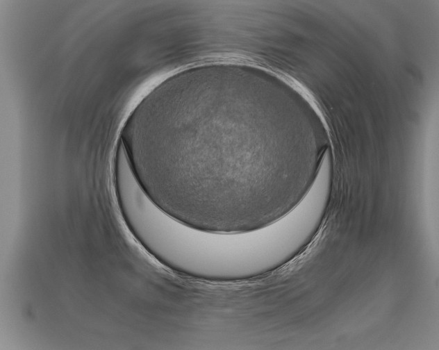 X0000113601389200909251147