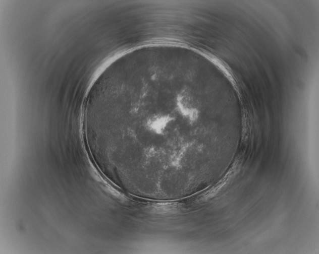 X0000113601390200909251147