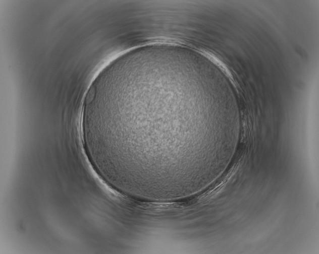 X0000113601391200909251147