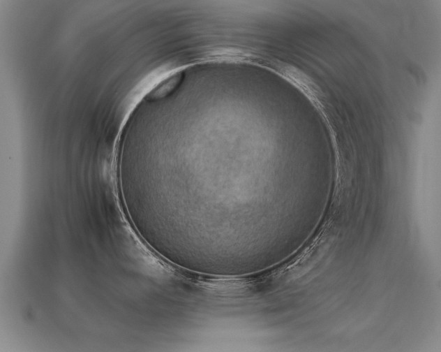 X0000113601392200909251147