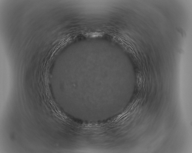 X0000113601393200909251146