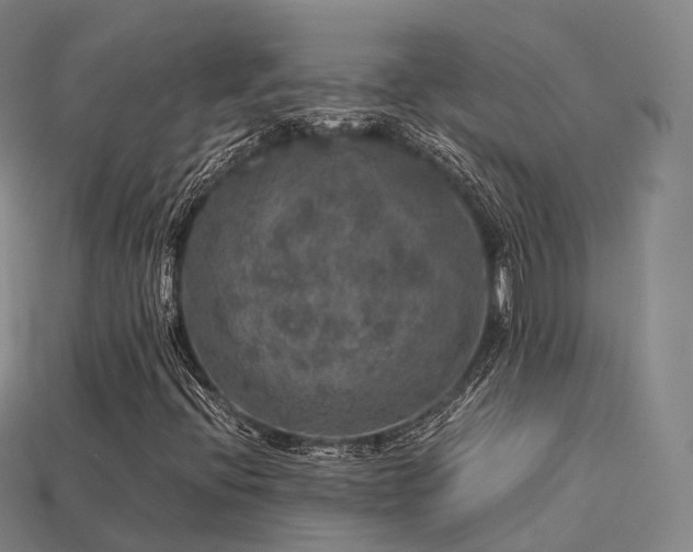 X0000113601396200909251146