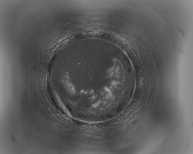 X0000113601397200909251146