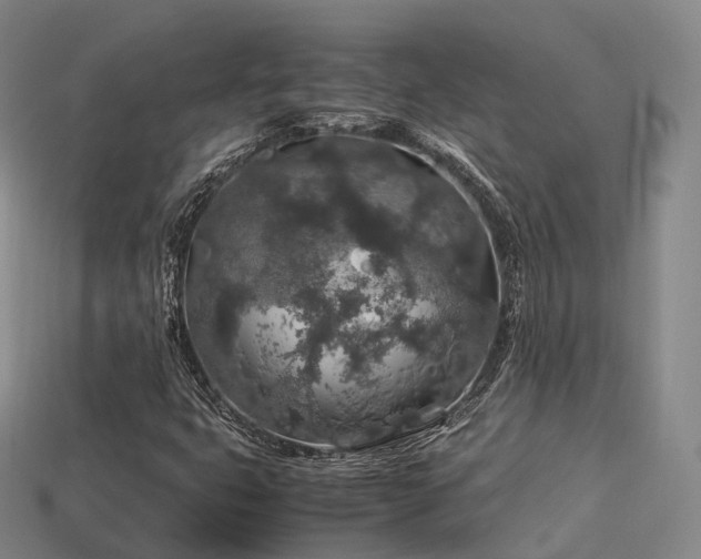 X0000113601399200909251146