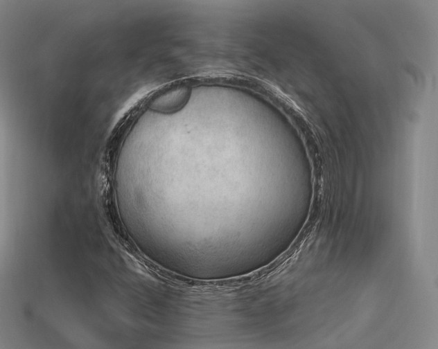 X0000113601400200909251146