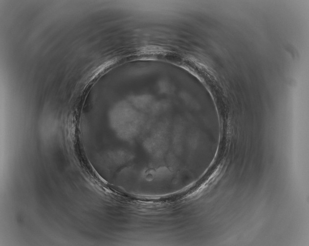 X0000113601401200909251147