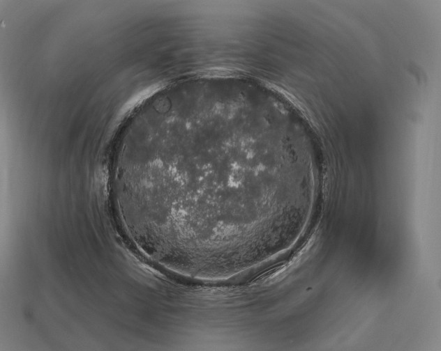 X0000113601402200909251147