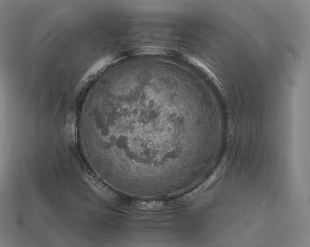 X0000113601403200909251147