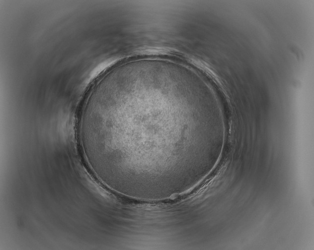 X0000113601404200909251147