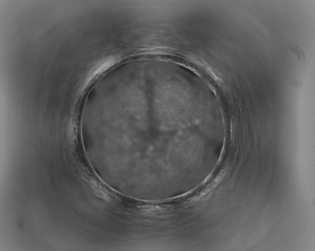 X0000113601405200909251147