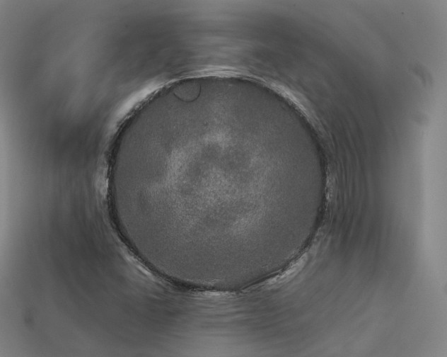 X0000113601406200909251147