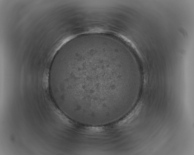 X0000113601409200909251147