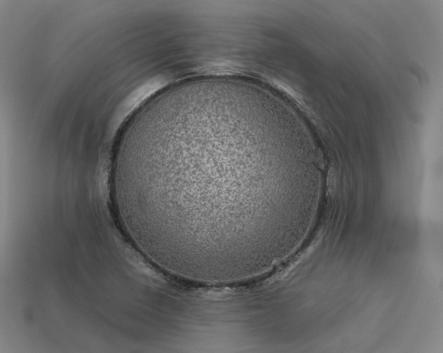 X0000113601410200909251147