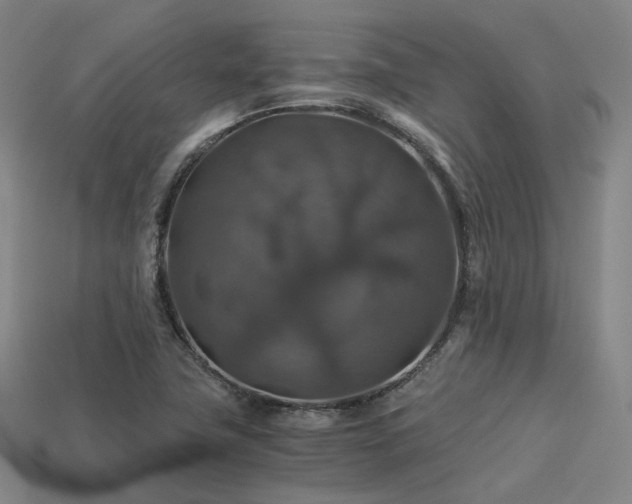 X0000113601411200909251147