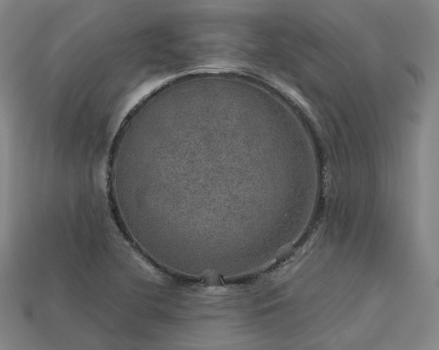 X0000113601412200909251147