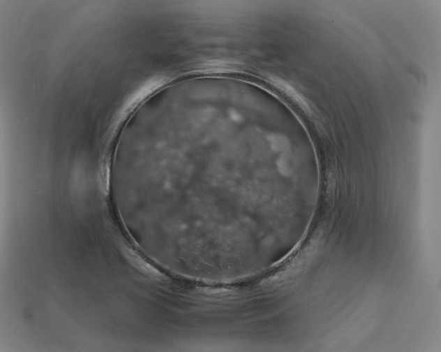 X0000113601413200909251147