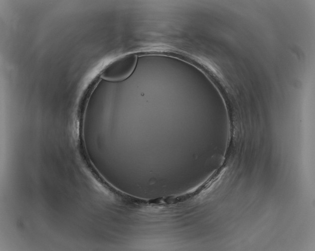 X0000113601414200909251147