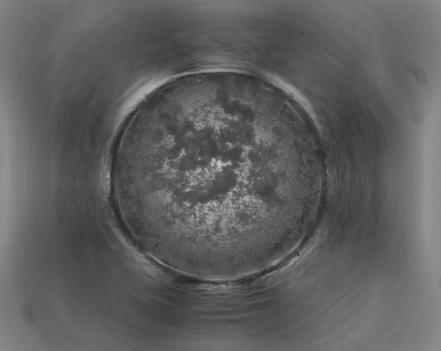 X0000113601415200909251147