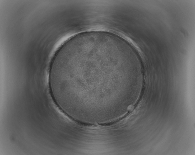 X0000113601416200909251147