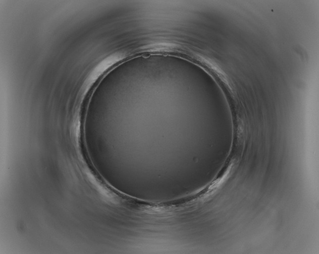 X0000113601418200909251147