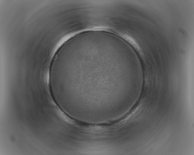 X0000113601420200909251147