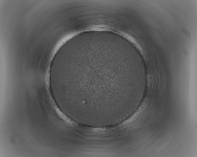 X0000113601421200909251147