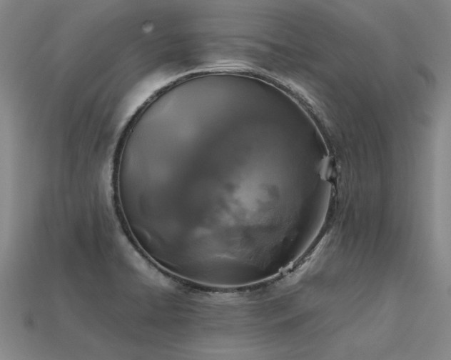 X0000113601422200909251147