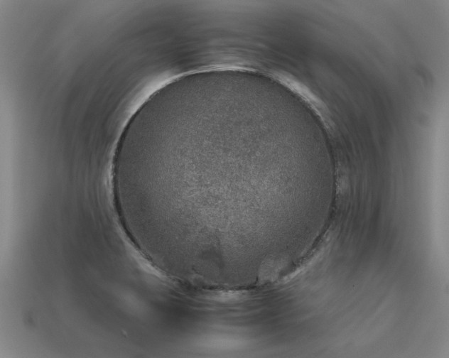 X0000113601423200909251147