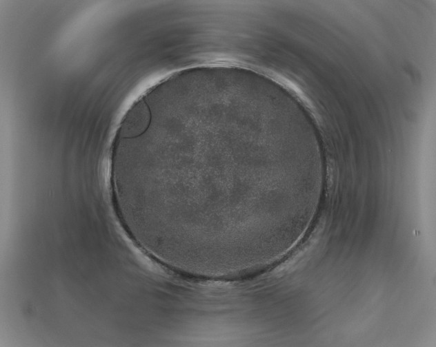 X0000113601424200909251147