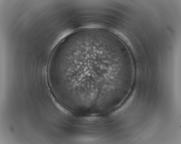 X0000113601425200909251147