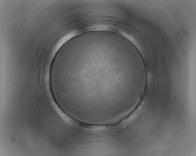 X0000113601426200909251147