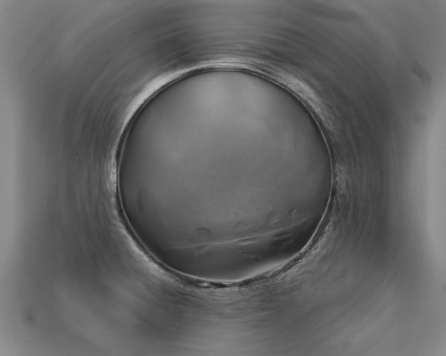 X0000113601428200909251147