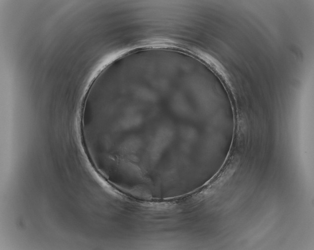 X0000113601429200909251147