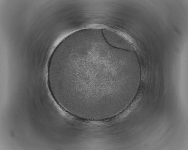 X0000113601430200909251147